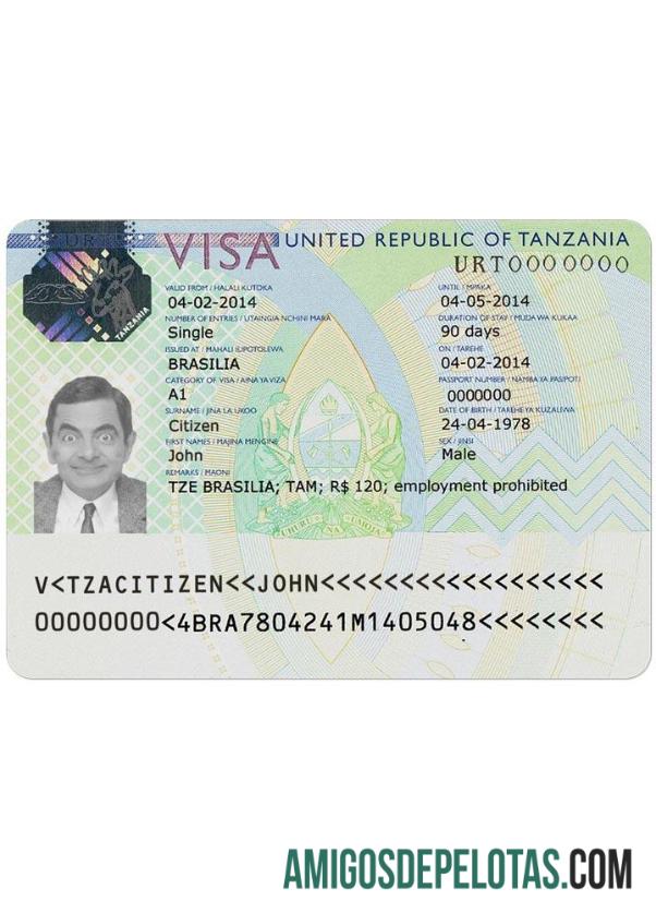 Visto para TANZÂNIA exemplo real